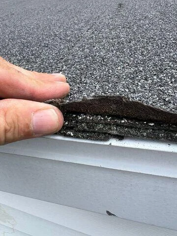 529356 965d6286 bd3e 41d6 aca8 a9d6b10294fb4ad3